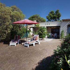 Cosy Holiday Home In Carg Se Corse Du Sud Near Sea Cargèse Exterior photo