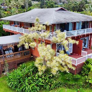 Bed and Breakfast Coffee Garden Captain Cook Exterior photo