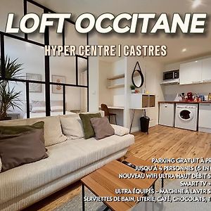 Apartament Loft Occitane Hyper Centre Castres Castres  Exterior photo