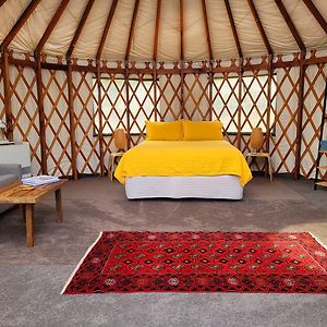 Bed and Breakfast Mountain Yurt, Stunning Views, Near Wanaka Hawea Flat Exterior photo