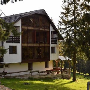 Hotel Pensiunea Vila Daniel Vartop Exterior photo