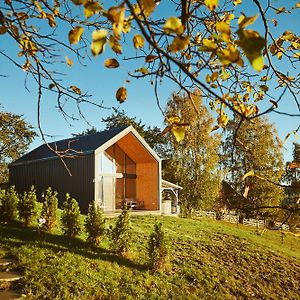 Willa Scandinave Chalet Bran Zărneşti Exterior photo