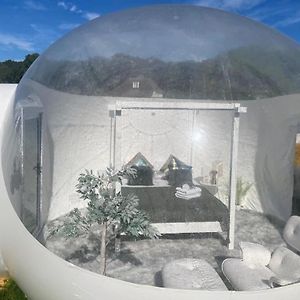 Willa Lunar Sleeping Bubble Ombersley Exterior photo