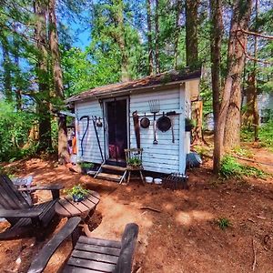 Willa The Stabbin Cabin On Grant Island, Brantingham Lake - Hottub, Boat, Pet Friendly Glenfield Exterior photo