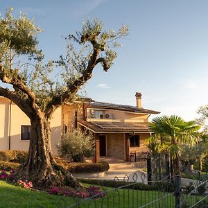 Villa Del Sole Inn Campobasso Exterior photo