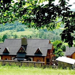 Bed and Breakfast Приватна Садиба Дикий Мед Ploskoye Exterior photo