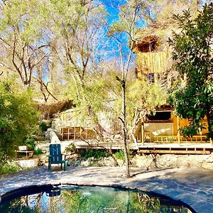 Willa La Casa Entre Los Arboles En El Valle De Elqui Montegrande Paihuano Exterior photo