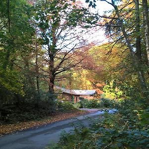 Willa The Shack, Cally Avenue, Gatehouse Of Fleet, Dumfries And Galloway, Dg7 2 Dh Exterior photo