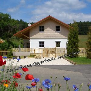 Willa Ferienhaus Geyerbad Messstetten Exterior photo