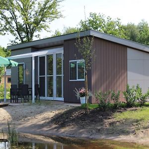 Willa Modern Bungalow At 30 Km From Maastricht Susteren Exterior photo