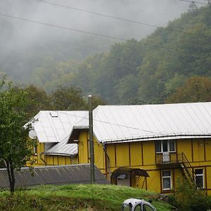 Hotel Дім З Видом На Гори. Vizhenka Exterior photo