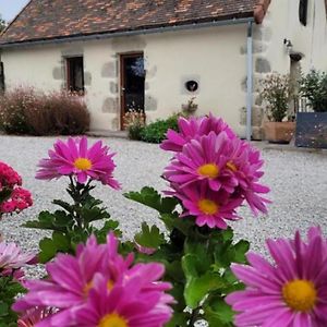 Willa Maison De Charme 18E Siecle Avec Jardin, Parking Et Modernite - Proche De Vichy Et Charroux - Fr-1-489-393 Taxat-Senat Exterior photo