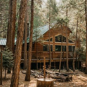 Willa Peace Of Mine - Cabin Inside Yosemite - Pet Friendly Wawona Exterior photo