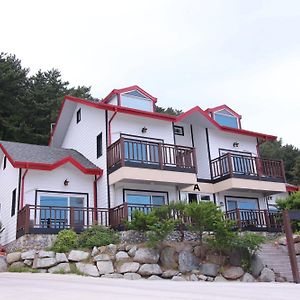 Uljin Blue Ara Cd Pension Exterior photo