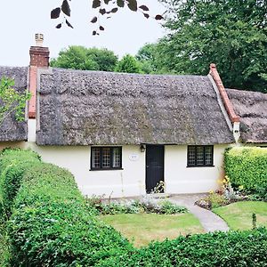 Violet Cottage Catfield Exterior photo