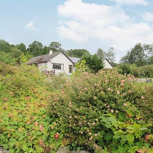 Willa Beech House Torcastle Exterior photo