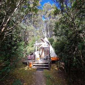 Willa Huon Bush Retreats Ranelagh Exterior photo