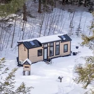 Willa Thistle House At Camp Greenwood Vermont With Sauna Chester Exterior photo