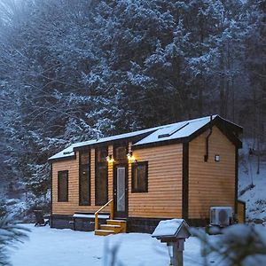 Willa Sage House At Camp Greenwood Vermont With Sauna Chester Exterior photo