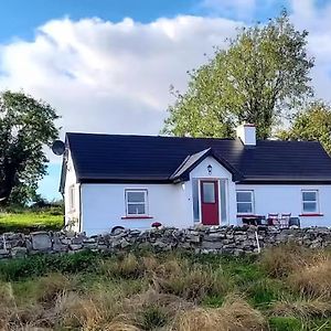 Willa Lough Lea House, Bunnamuca Strokestown Exterior photo