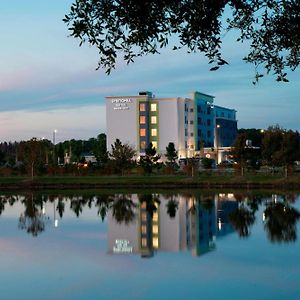 Springhill Suites By Marriott Tampa Suncoast Parkway Land O' Lakes Exterior photo