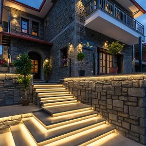 Floara Di Munte Forest Luxury Suites Metsovo Exterior photo