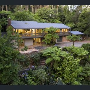 Willa Forest Hideaway - Puffing Billy Railway Melbourne Exterior photo