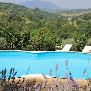 Holiday Villa In Sabina With Private Pool Poggio Catino Exterior photo