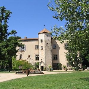 Apartament Chateau De La Chassaigne Thiers Room photo