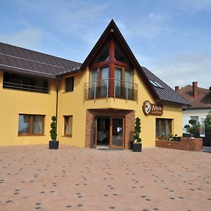 Hotel Penzion Anesis - Studia Turčianske Teplice Exterior photo