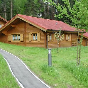 Willa Blockhaus Bayerischer Wald Stamsried Exterior photo