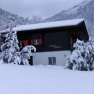 Apartament Chalet Esher Surrey Ried-Brig Room photo