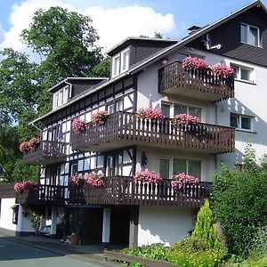 Willa Ferienhaus Hedrich Assinghausen Exterior photo