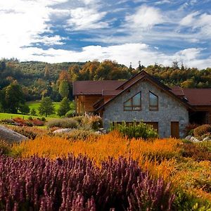 Bed and Breakfast Chambre D'Hotes La Forestiere Le Hohwald Exterior photo