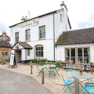 Hotel The Curious Pig In The Parlour Burstow Exterior photo