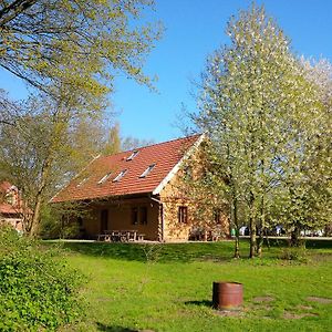 Apartament Ferienhof Idyll Am Kleinen Fliess Burg  Exterior photo