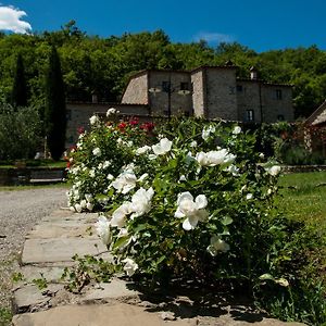 Willa Agriturismo Azienda Agricola Il Pozzo Capolona Exterior photo