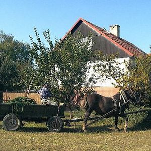 Bed and Breakfast Platanus Beckov Exterior photo