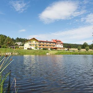 Hotel Gasthof-Pension Nordwald Harbach  Exterior photo