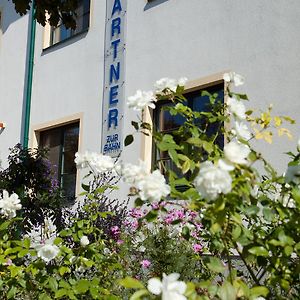 Hotel Pension Gartner Wallern im Burgenland Exterior photo