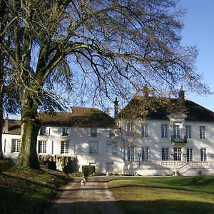 Bed and Breakfast Le Chateau De Prauthoy Exterior photo