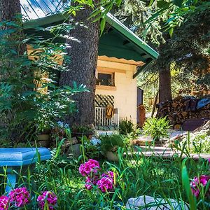 Cottage On The Stream Sundance, Utah Exterior photo