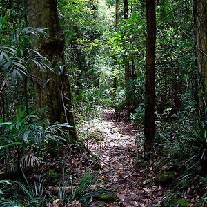 Willa Springbrook Lyrebird Retreat Exterior photo