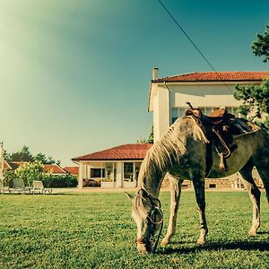 Guest House Ongal Kruszuna Exterior photo