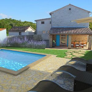 Cozy Istrian Stone Villa Sasso With Private Pool Petehi Exterior photo