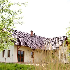 Hotel Penzion Recall Troskovice Exterior photo