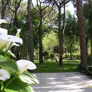 Hotel Valdor Cavallino-Treporti Exterior photo