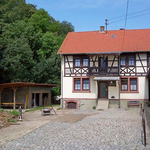 Willa Pferdehof Und Wanderreitstation Doersam Mörlenbach Exterior photo