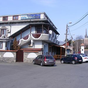 Hotel Pensiunea Melisa Tulcza Exterior photo