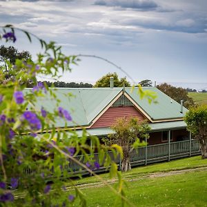 Bed and Breakfast The Bryn At Tilba Central Tilba Exterior photo